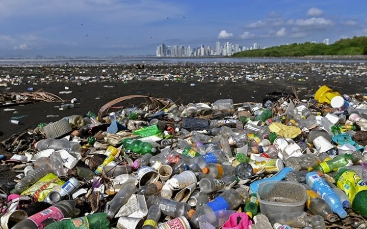 在巴拿马城埃斯特海岸的海滩上，可以看到许多包括塑料在内的垃圾